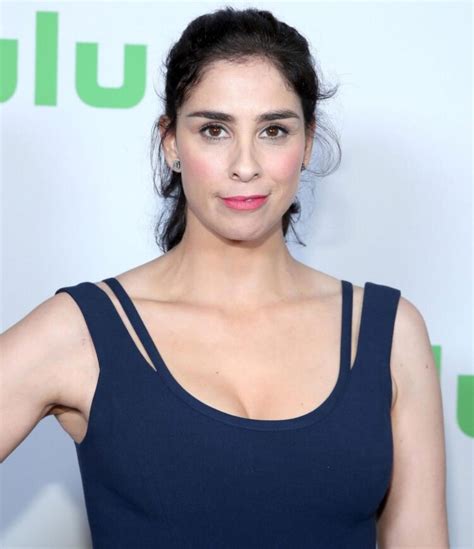 sarah silverman bikini|Sarah Silverman Flaunts Tiny Bikini on NYC Fire Escape